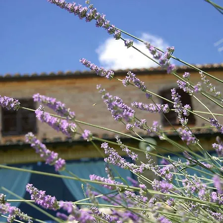 Villarondanella Bed & Breakfast Fermo