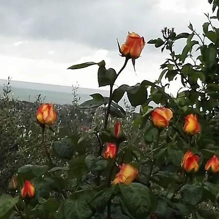 Nocleg ze śniadaniem Villarondanella 4*