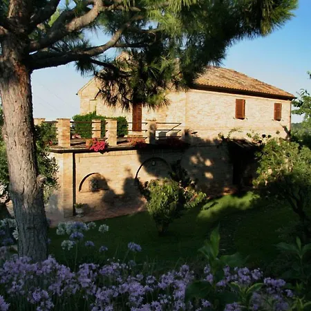 Villarondanella 4*