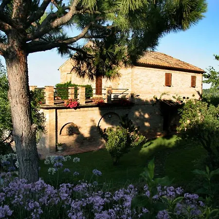 Villarondanella 4*